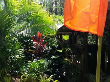 Alaya Escape - ACT Tourism 53