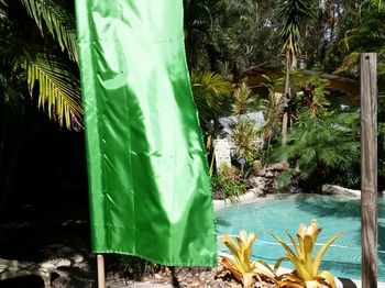 Alaya Escape - ACT Tourism 54