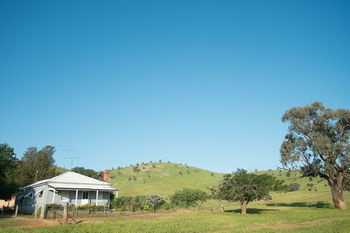 Kimo Estate - ACT Tourism 10