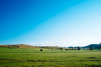 Kimo Estate - ACT Tourism 17
