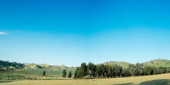 Kimo Estate - ACT Tourism 18