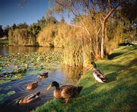 Country Club Tasmania - ACT Tourism 5