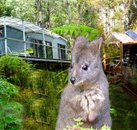 Huon Bush Retreats - ACT Tourism