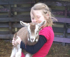 Eden Orchard And Farmstay - ACT Tourism 2