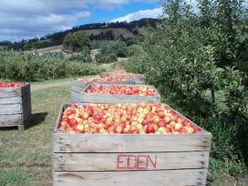 Eden Orchard And Farmstay - ACT Tourism 1