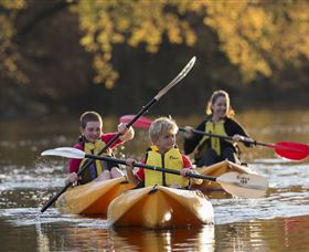 Swallows Nest Guesthouse - ACT Tourism 5