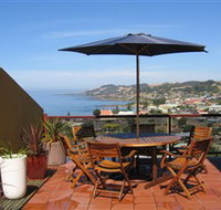 High On Penguin - ACT Tourism