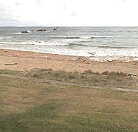 Penguin Caravan Park - ACT Tourism