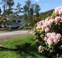 Zeehan Bush Camp  and Caravan Park - ACT Tourism