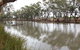 Riverbank Caravan Park - thumb 0