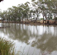 Riverbank Caravan Park - ACT Tourism