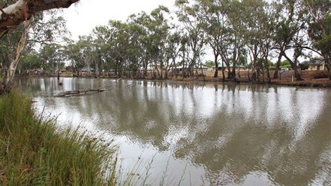 Riverbank Caravan Park - ACT Tourism 0