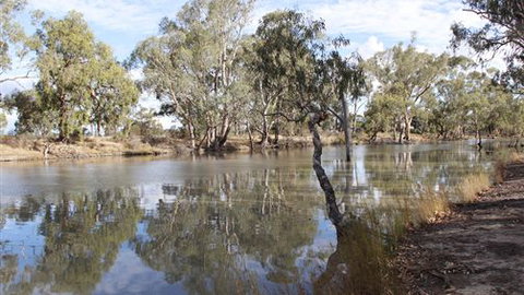 Riverbank Caravan Park - ACT Tourism 5