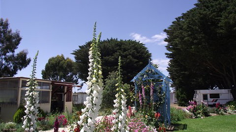 Colac Otway Caravan & Cabin Park - ACT Tourism 1