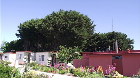 Colac Otway Caravan & Cabin Park - ACT Tourism 2