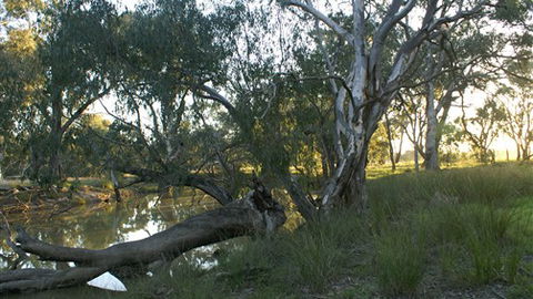Numurkah Caravan Park - ACT Tourism 5