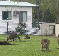 Halls Gap Caravan Park - ACT Tourism