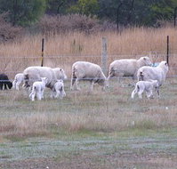 Auberge Woodend - ACT Tourism