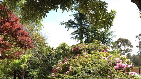 Chestnut Springs - ACT Tourism 2