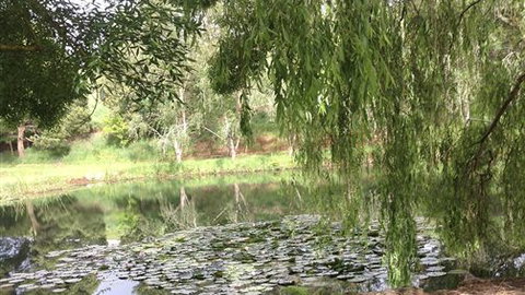 Chestnut Springs - ACT Tourism 7