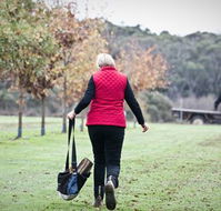 Black Cat Cottage - ACT Tourism