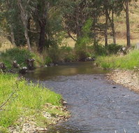 Murphy's Cabin - ACT Tourism