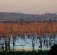 Salisbury - ACT Tourism
