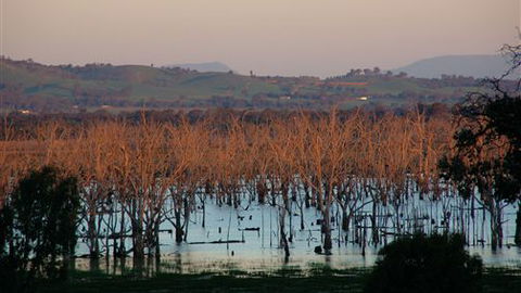 Salisbury - ACT Tourism 0