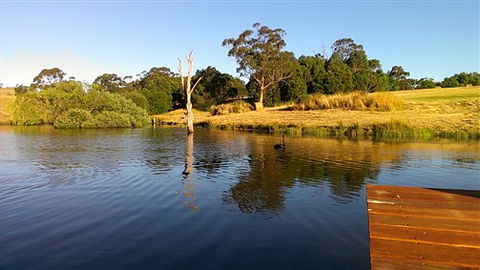 Cygnet Park Country Retreat - ACT Tourism 4