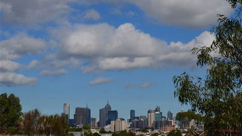 Parkside Stay Clifton Hill - ACT Tourism 5