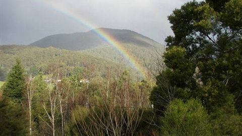 Wattletree Cottage - ACT Tourism 0