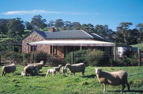 Amanda Stichbury Cottage - ACT Tourism 0
