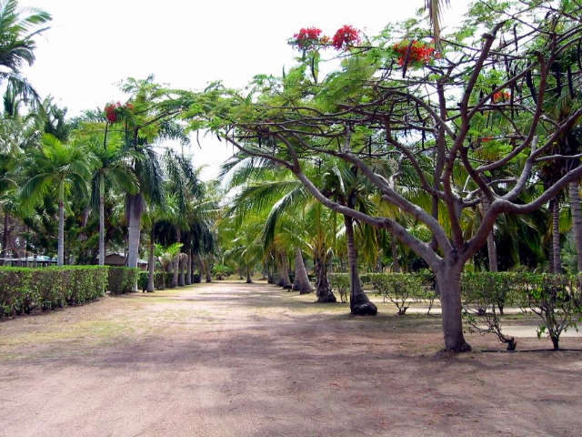 Alva QLD ACT Tourism