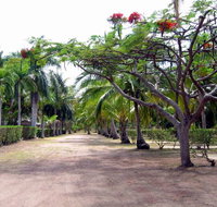 Alva Beach Tourist Park - ACT Tourism