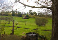 Amble Fern Studio - ACT Tourism 1