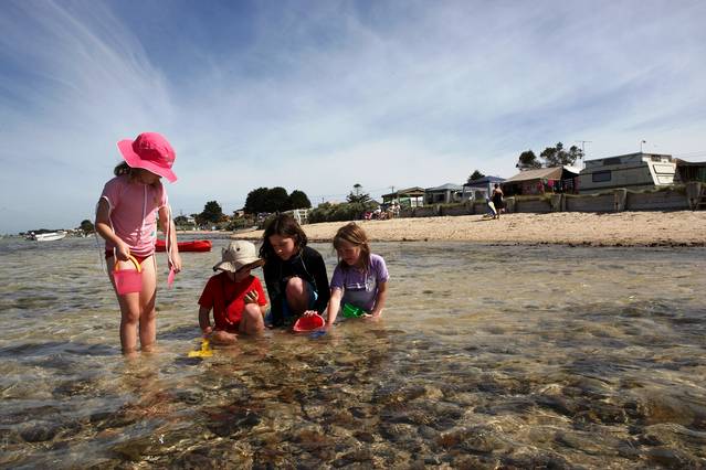 Indented Head VIC ACT Tourism