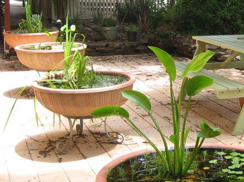 Burwood Bed & Breakfast - ACT Tourism 3