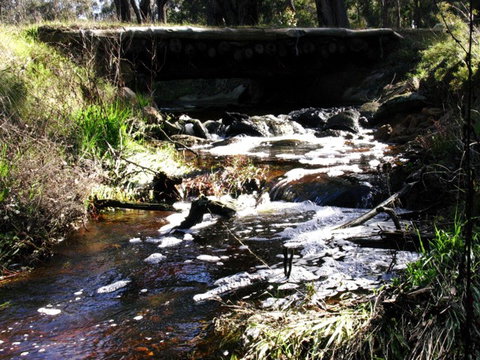 Hidden Grove Retreat - ACT Tourism 4