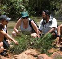 Nitmiluk Tours  Accommodation - ACT Tourism