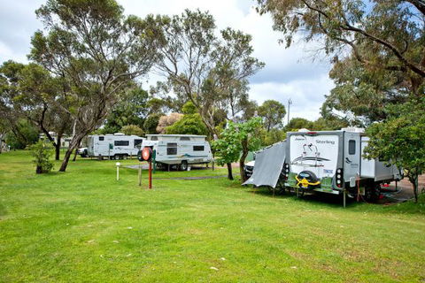 Acclaim Pine Grove Holiday Park - ACT Tourism 11