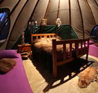 Aranyani Bison Adventure Tourist Park - ACT Tourism