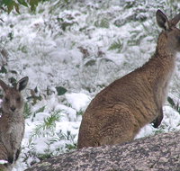 Barokee campground - ACT Tourism