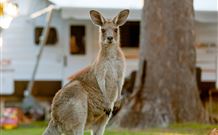 BIG4 Sunshine South West Rocks Holiday Park - South - ACT Tourism 3