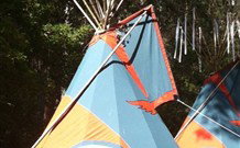 Central Coast Eco Tours - ACT Tourism 0