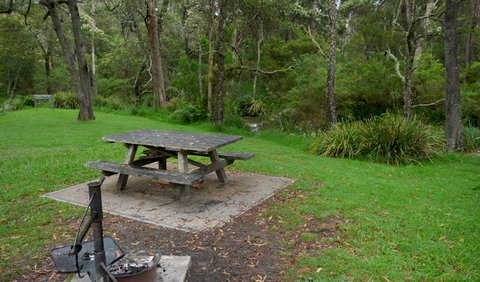 Chaelundi Campground - ACT Tourism 0