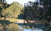 Darlington Point Riverside Caravan Park - ACT Tourism 2