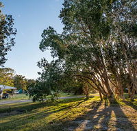 Delicate campground - ACT Tourism