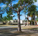 Sheldon Caravan Park - ACT Tourism