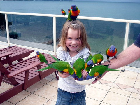 The Mitchells Waterfront Bed & Breakfast - ACT Tourism 3