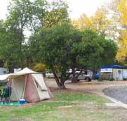 Wedderburn Pioneer Caravan Park - ACT Tourism